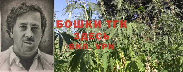 гашик Гусиноозёрск