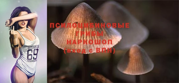 гашик Гусиноозёрск
