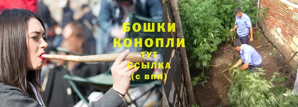 прущая мука Гусев
