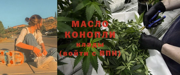 гидропоника Горняк