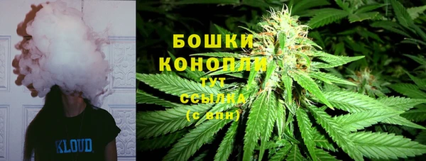 прущая мука Гусев
